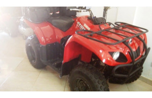 Yamaha  QUAD-250-BRUIN 2010