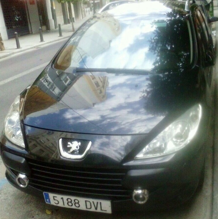 Peugeot 307 2006 0