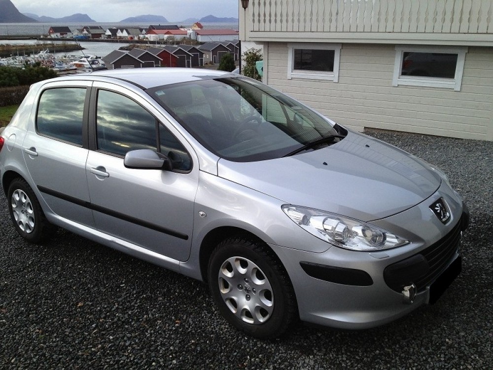 Peugeot 307 2009 0