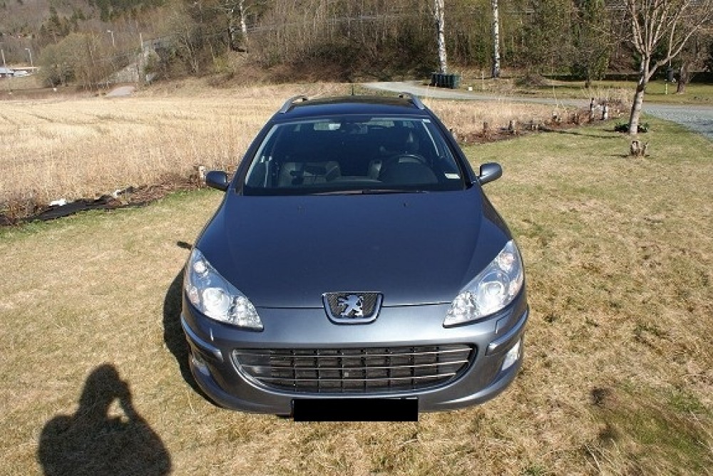 Peugeot 407 2008 0