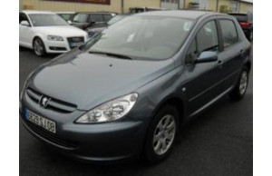 Peugeot 307 2002