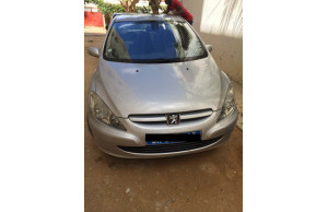 Peugeot 307 0