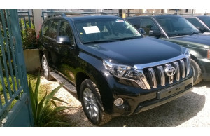 Toyota TXL-V8 2014