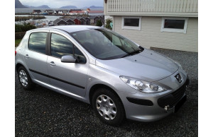 Peugeot 307 2009