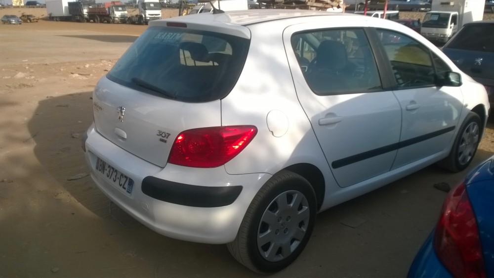 Peugeot 307 2007 0