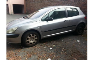 Peugeot 307-Hdi 2010