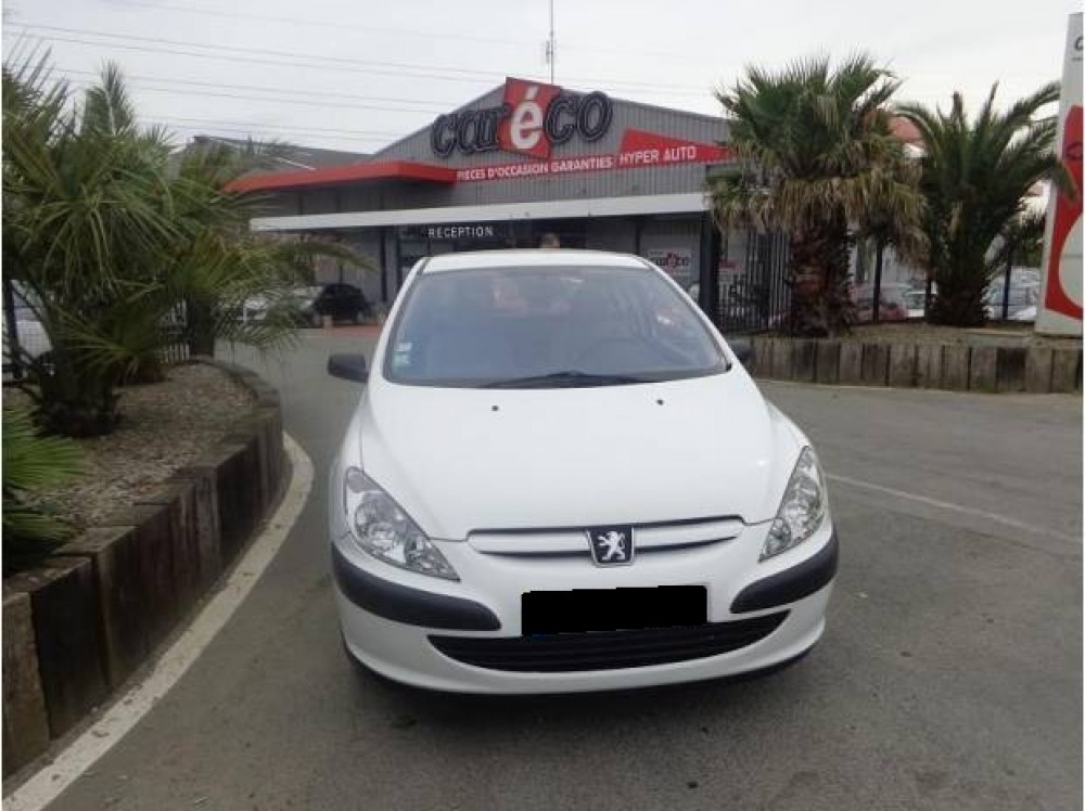 Peugeot 307 2010 0