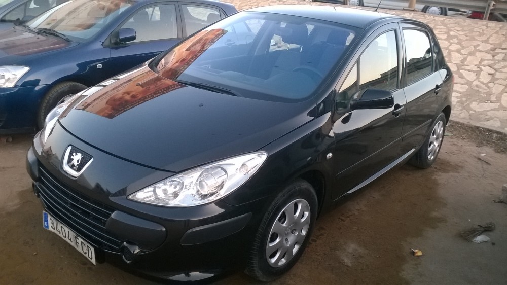 Peugeot 307 2006 0