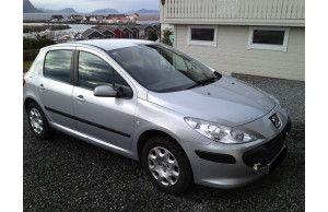 Peugeot 307 2009