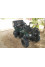 Yamaha  Quad-grizzly-300 2012 mini 0