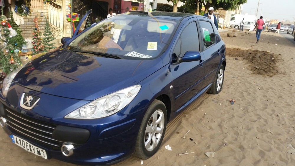 Peugeot 307 2006 0