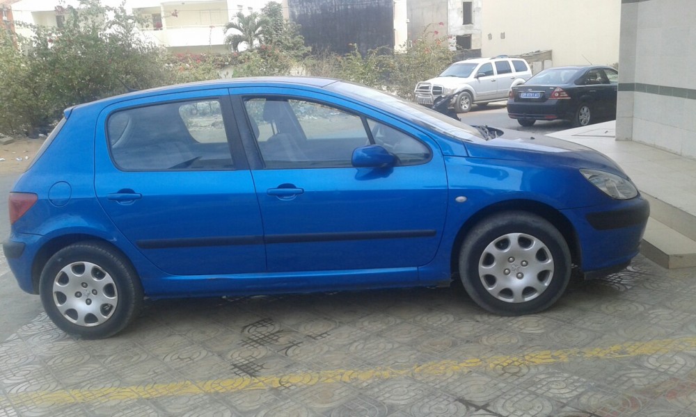 Peugeot 307 2006 0