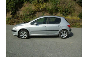 Peugeot 307 0