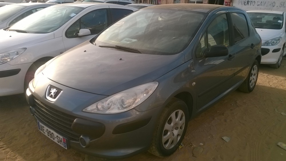 Peugeot 307 2006 0