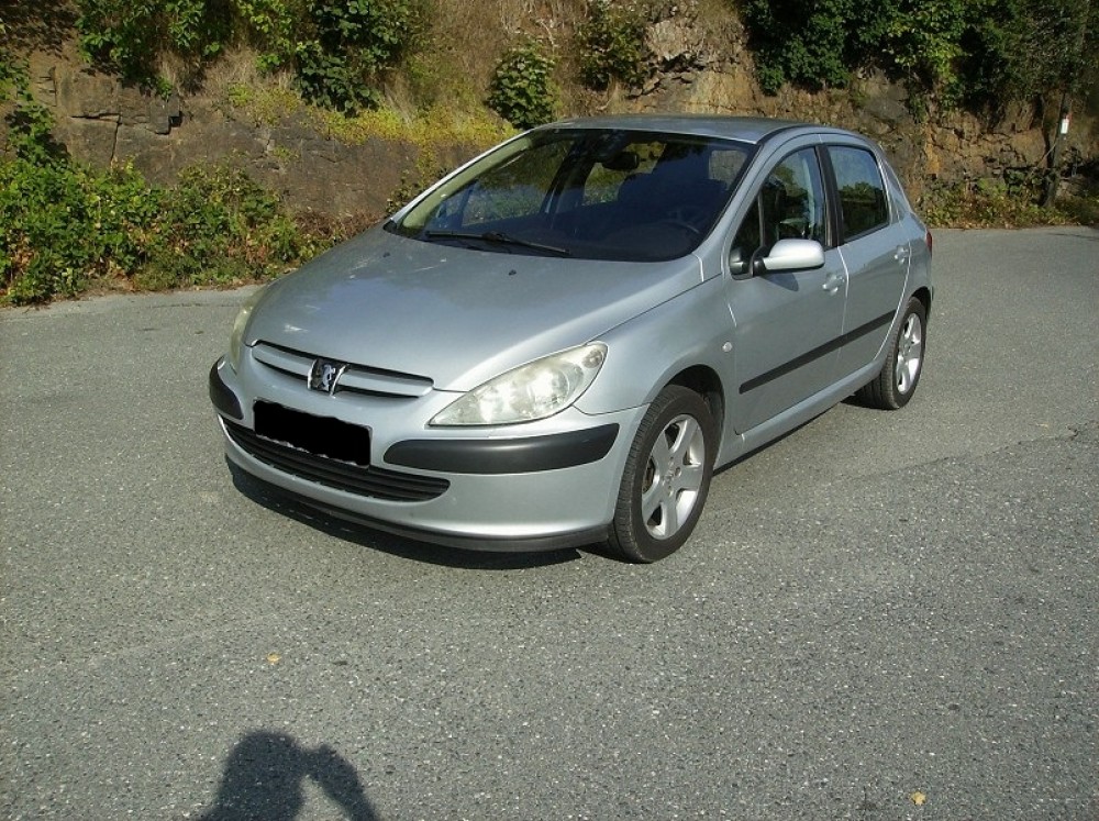 Peugeot 307 2004 0