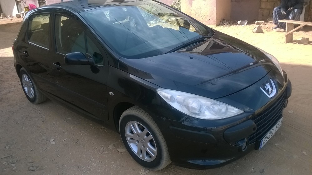 Peugeot 307 2006 0