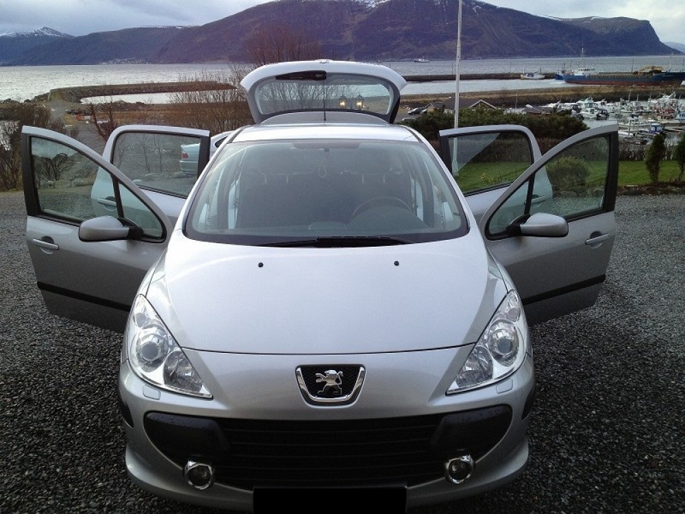 Peugeot 307 2009 0