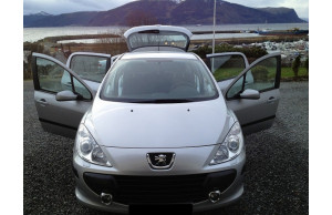Peugeot 307 2009