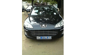 Peugeot 407 2009