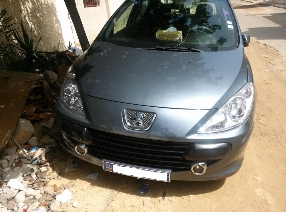 Peugeot 307 2008 0