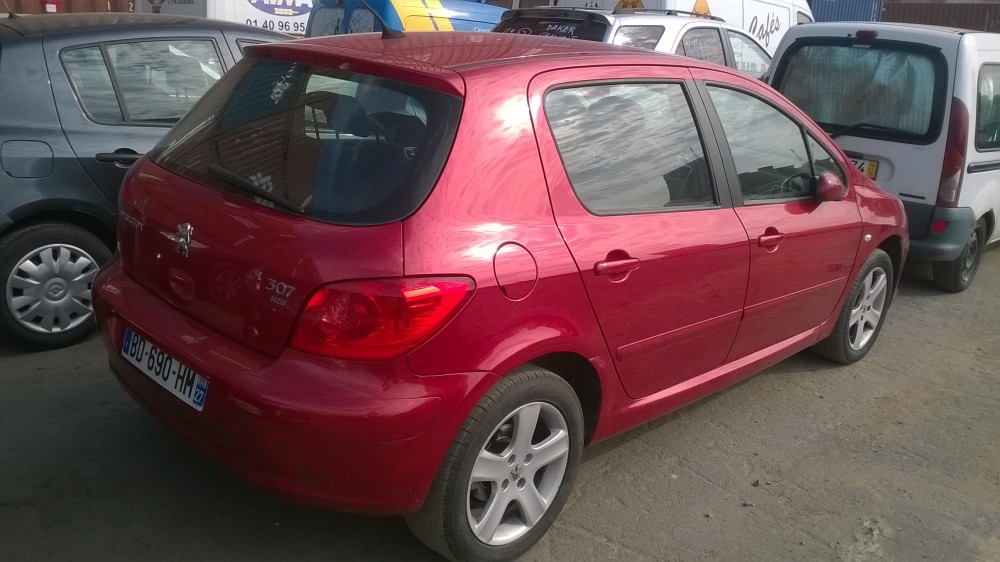 Peugeot 307 2007 0