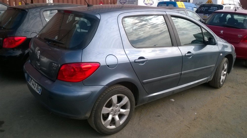 Peugeot 307 2007 0