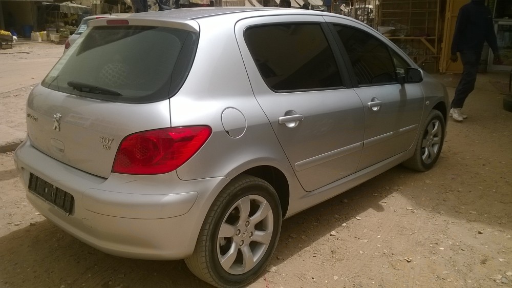 Peugeot 307 2007 0