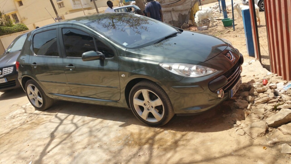 Peugeot 307 2007 0