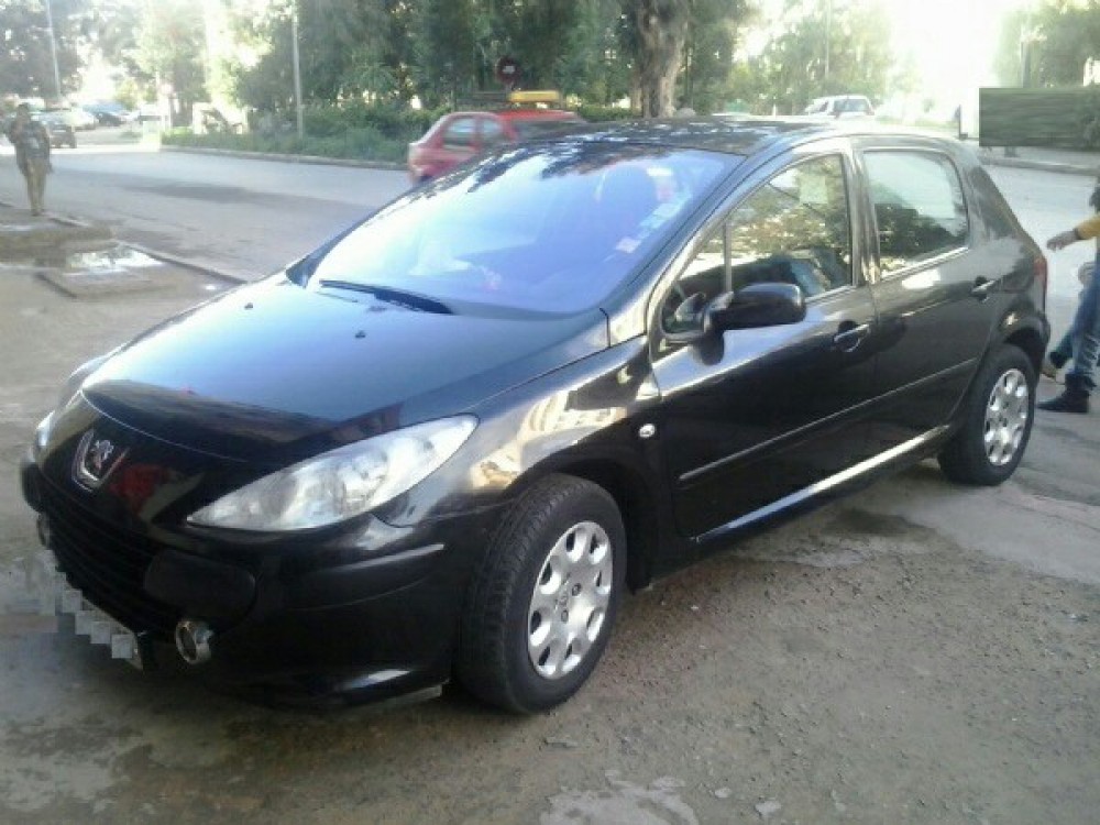 Peugeot 307 2006 0
