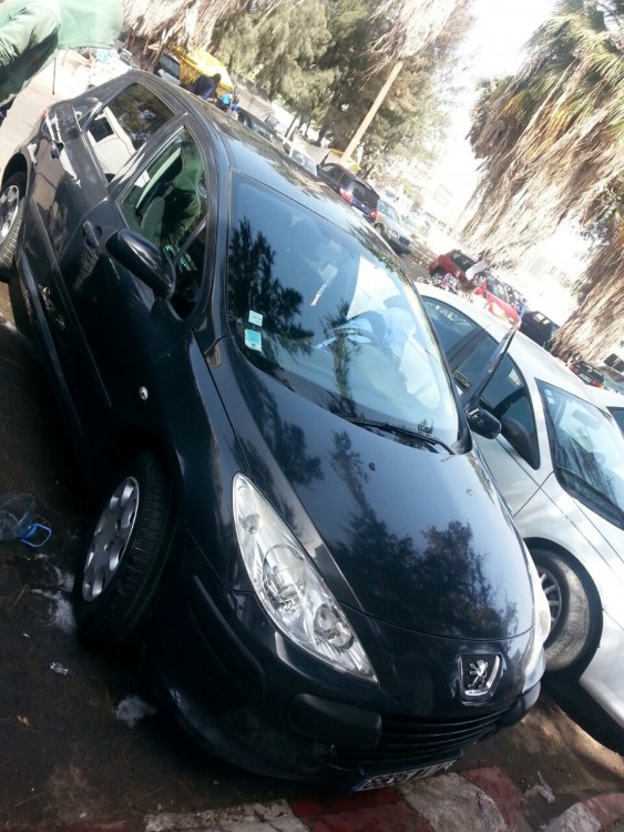Peugeot 307 2006 0
