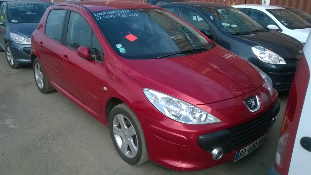 Peugeot 307 2007 0