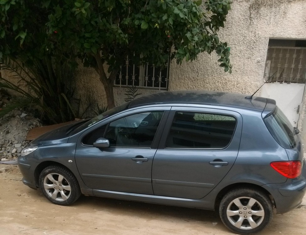 Peugeot 307 0 0