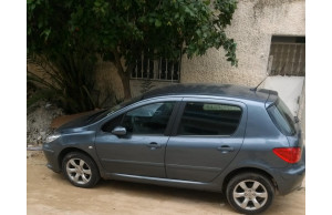 Peugeot 307 0