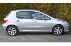 Peugeot 307 2007