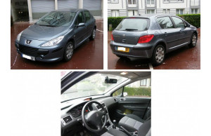 Peugeot 307 2007