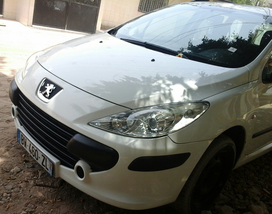 Peugeot 307 2007 0