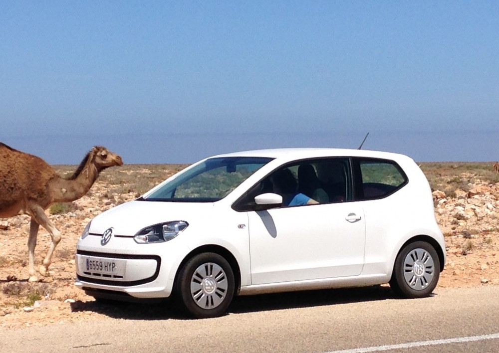 Volkswagen Up 2014 0