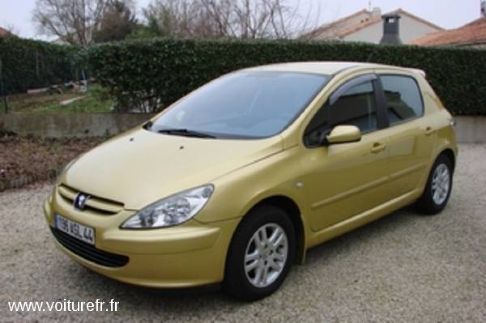 Peugeot 307 2006 0