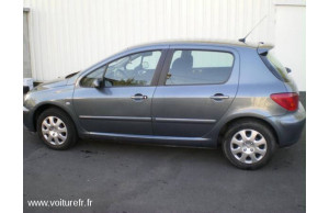 Peugeot 307 2007