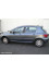 Peugeot 307 2007 mini 0
