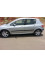 Peugeot 307 2001 mini 0