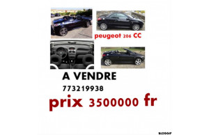 Peugeot 206 CC 2007
