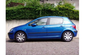 Peugeot 307 2000
