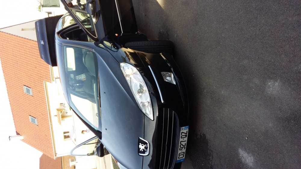 Peugeot 407 2009 0
