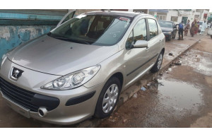Peugeot 307 2007
