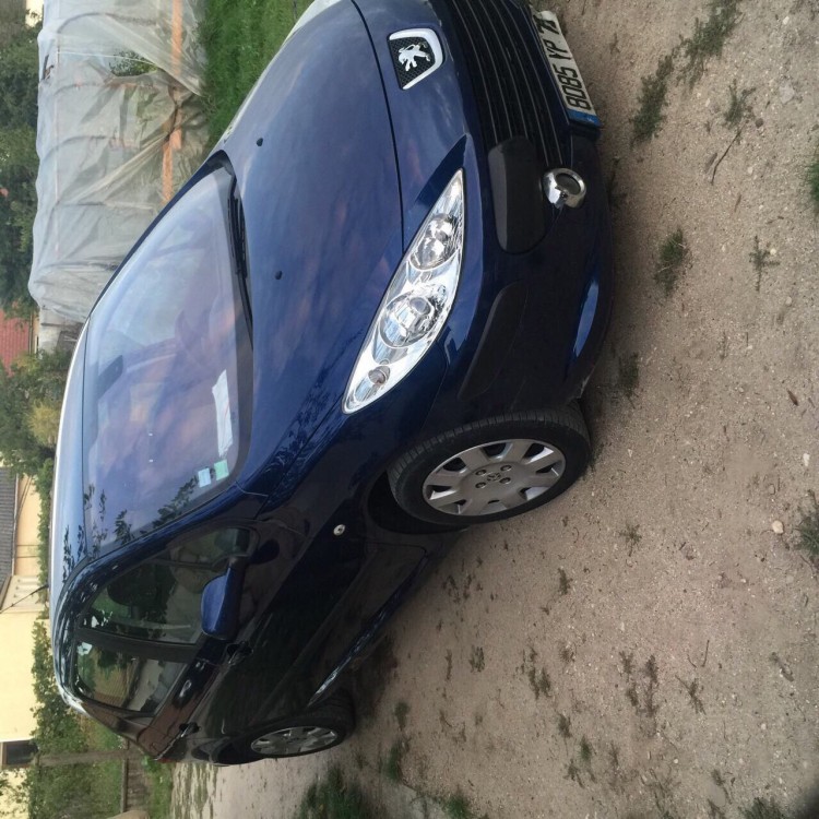 Peugeot 307 2008 0