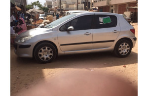 Peugeot 307 2007