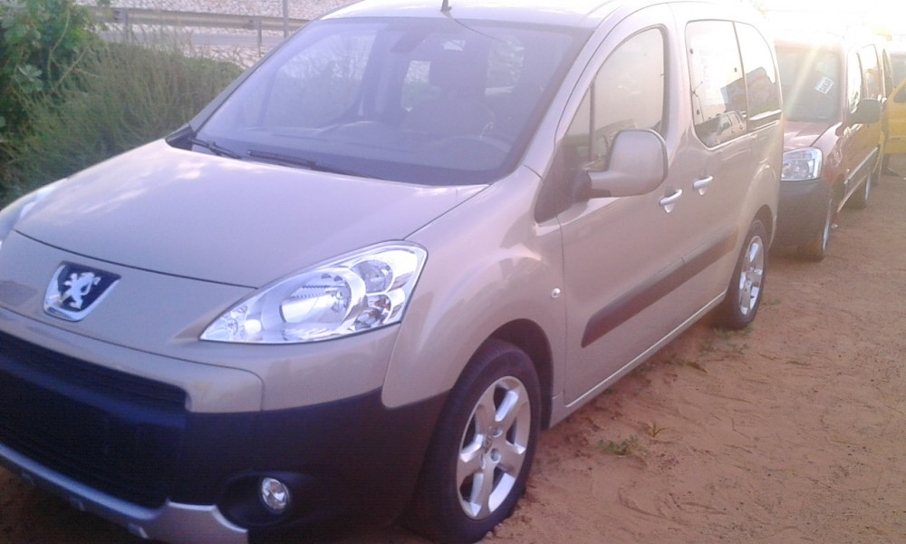 Peugeot Partner 2009 0