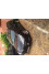 Peugeot 307 2007 mini 0