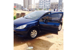 Peugeot 307 0